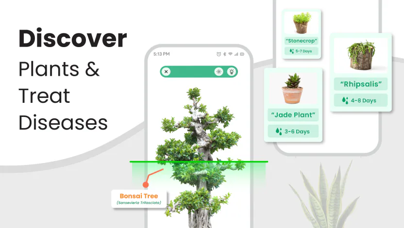 Plant Identifier — Android app by Hussnain Mehdi